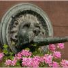 Brunnen