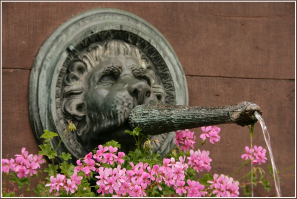 Brunnen