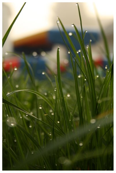 GrassBlick