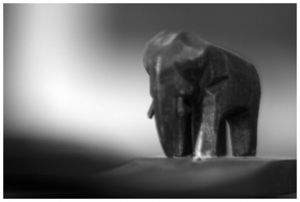 Mammut