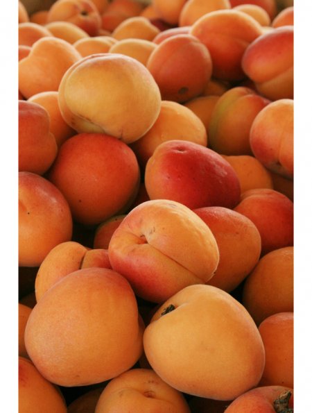 Obst1