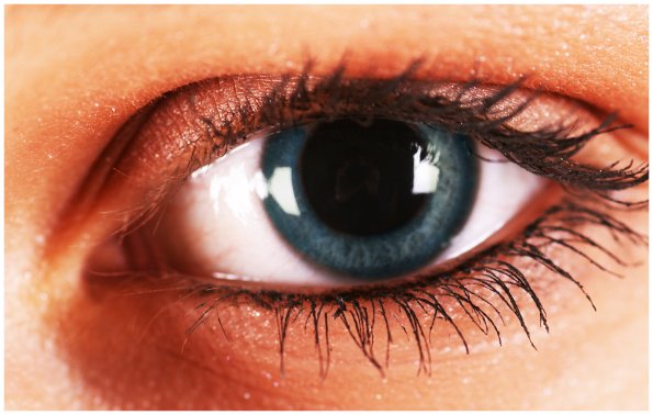 auge2