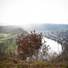 Kröver Moselschleife