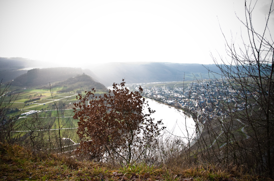 Kröver Moselschleife