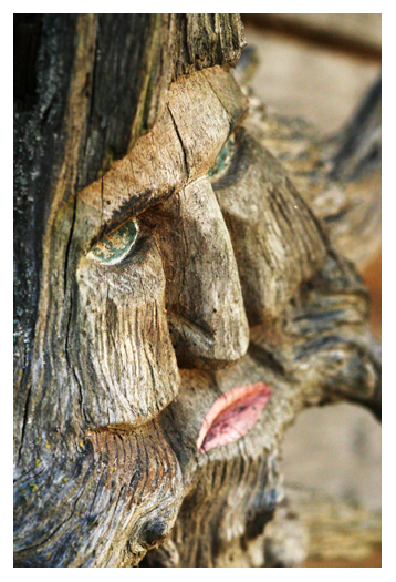 woody
